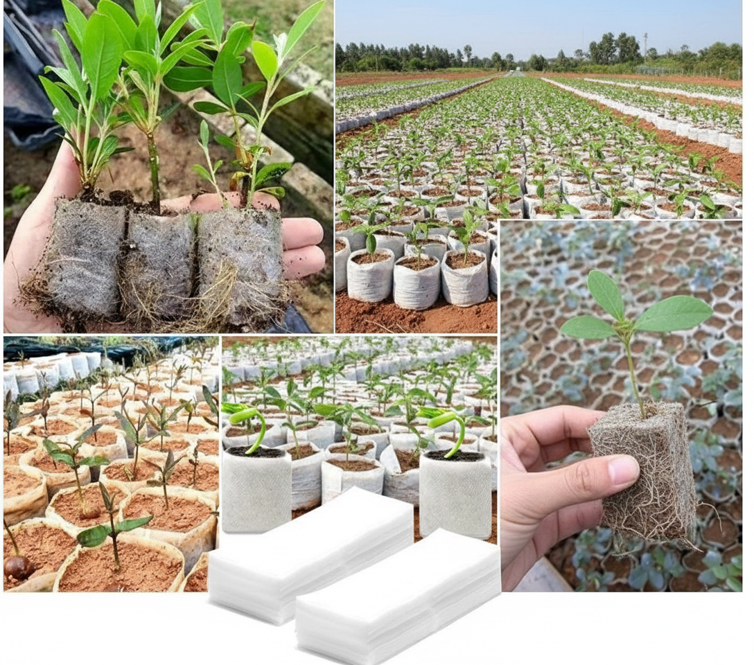 Agricultural Nurseries